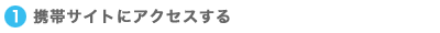 �g�уT�C�g�ɃA�N�Z�X����
