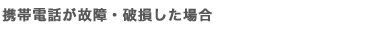 �g�ѓd�b���̏�E�j�������ꍇ