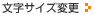 TCY̕ύX